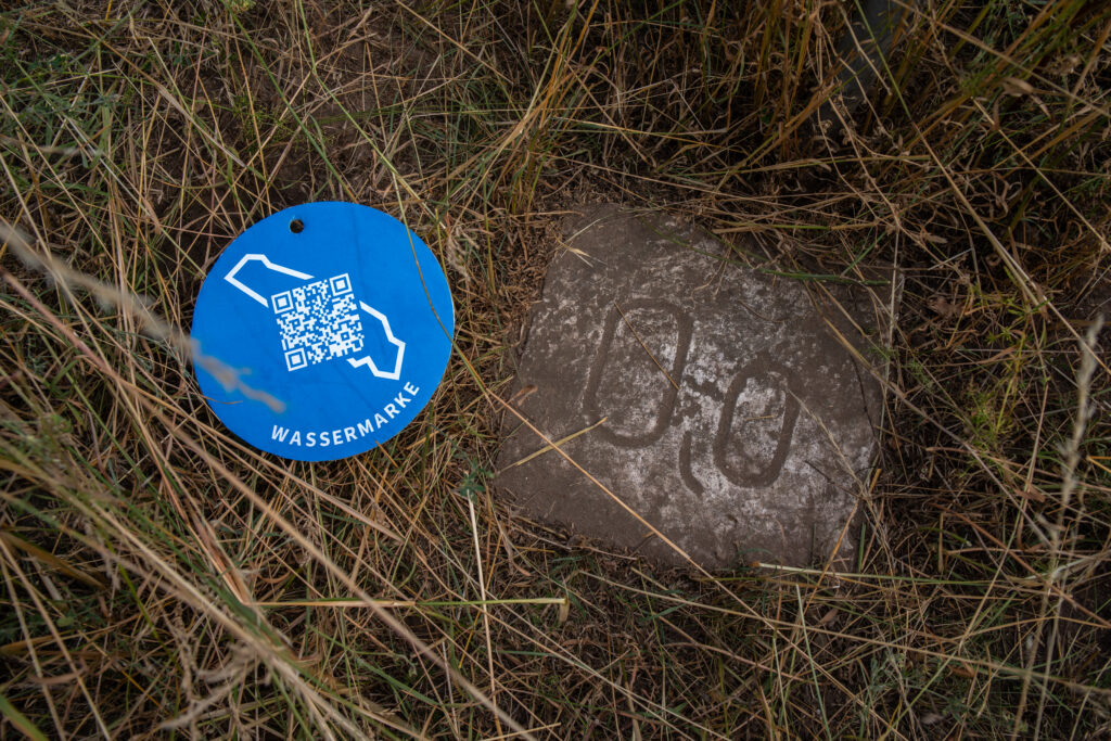 IMGP6133-2_WM_Deich-KM-0_Lebus_260715_05