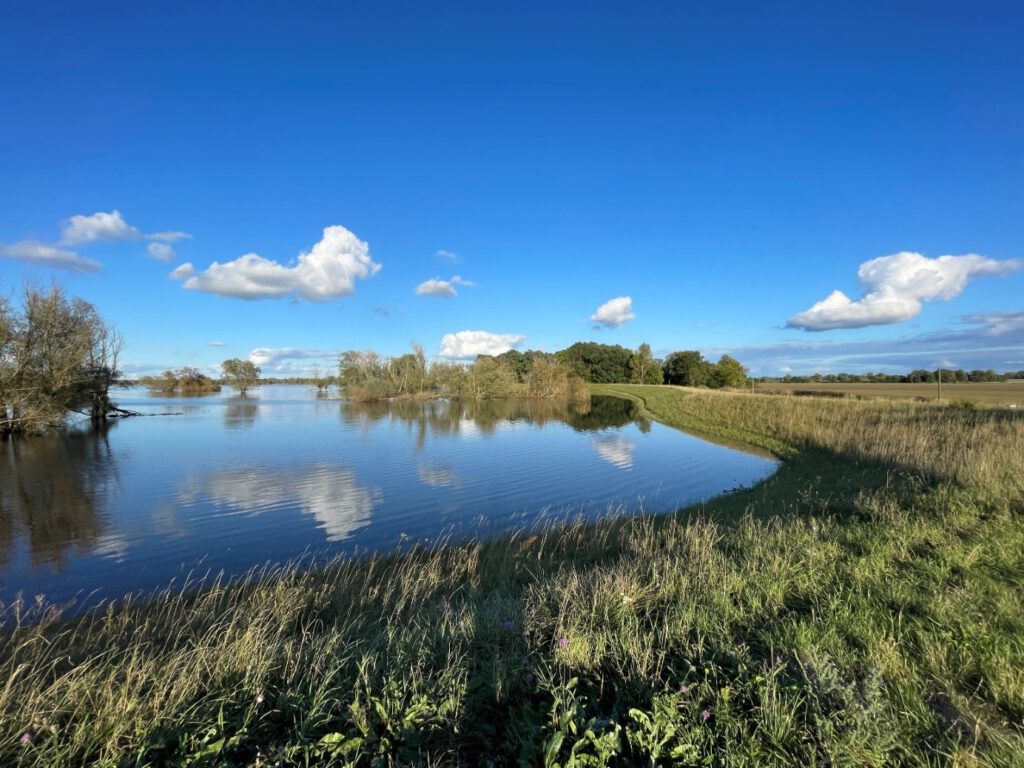 Abb.: Oder-Hochwasser 2024 - Odervorland bei Letschin OT Kienitz, Foto: Archiv Euroregion PEV, 29.09.2024